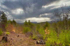 Stormy View