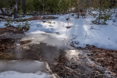 Stream