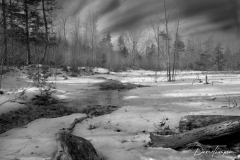 Creek B&W