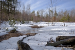Pasture 2