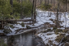 Ice Creek 2