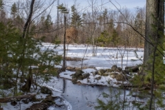 Ice creek
