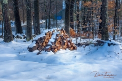 Woodpile