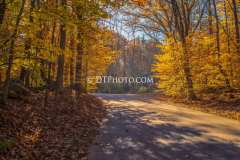 DCM1437-Edit