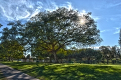 HDRSanDiego-3