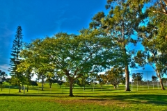 HDRSanDiego-4