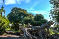 HDRSanDiego-5