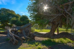 HDRSanDiego-7